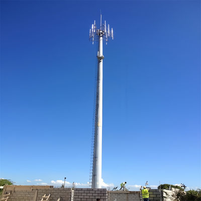 デザイン ホットディップ高張力鋼電圧 通信 モノポールの塔