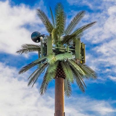 パーソナライゼーション 20m-50m 通信 モノポール 人工 木 セルタワー テレコム パームバイオニック 仮面 木柱塔