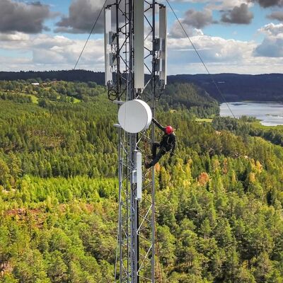 高衝撃強度KV値を様々な室外温度で確保する鋼材のグレードから構築されたガイアワイヤタワー