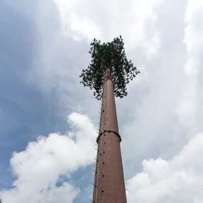 36M Bionic Tree Tower featuring durable fiberglass artificial trunks branches and leaves with hidden platforms for 5G antennas and environmental sensors