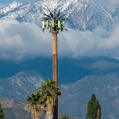 ビオニックツリータワー 異なる景観要件に合わせて高さや樹種に合わせてカスタマイズできるモジュール部品