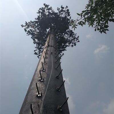18 27 35 メートルのリゾート ホテルの風景のためのカモフラージュされたヤシの木の通信塔