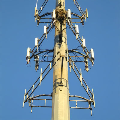 自給自足価格 Wifi 遠距離携帯電話 作業プラットフォーム マイクロ波アンテナ 鉄製モノポールタワー