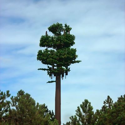 カモフラージュポール パーム/パイン マイクロ偽造セルタワー 木 10 20 30 40 50 60 70 80 M