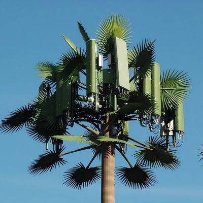 パームツリー 偽木 セルタワー カモフラージング 通信 5-80M