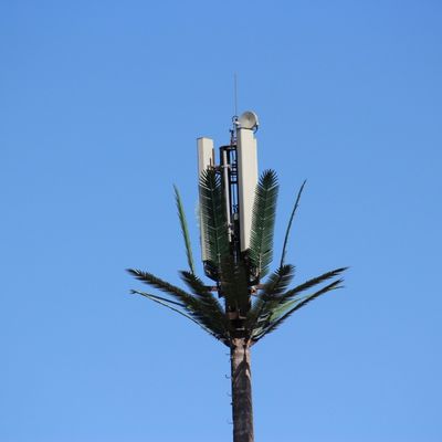 マイクロ波 携帯電話 テレコム モノポール 偽のパームツリー セルタワー カモフラージュ デート通信タワー