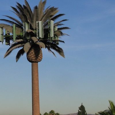 マイクロ波 携帯電話 テレコム モノポール 偽のパームツリー セルタワー カモフラージュ デート通信タワー