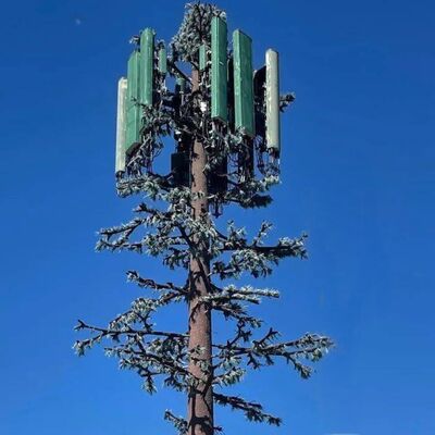 Bionic Tree Towerのモジュラーデザインは、アンテナマウント、ケーブル管理、再生可能エネルギーハーベスターをサポートする、カスタマイズ可能な樹種と高さ
