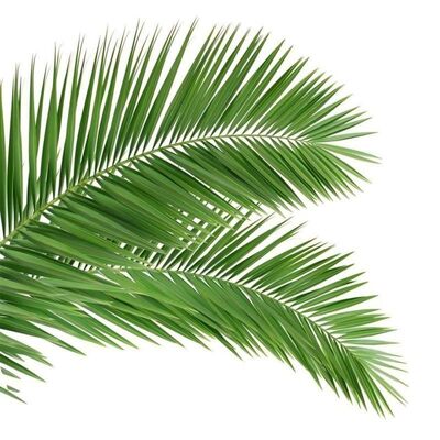 樹のような外見を持つバイオニックツリータワー 繊維ガラス枝と幹を特徴として,シームレスな景観の融合