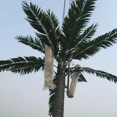 バイオニック・ツリー・タワー 4級 8級 6級 8級 8級 8級 8級 8級 8級 8級 8級 8級 8級 8級 8級 8級 8級 8級 8級 8級 8級