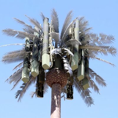 バイオニック・ツリー・タワー 4級 8級 6級 8級 8級 8級 8級 8級 8級 8級 8級 8級 8級 8級 8級 8級 8級 8級 8級 8級 8級