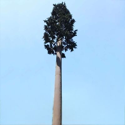Bionic Tree Tower 人工樹塔 構造信頼性のための様々な温度における衝撃強度 KV 27ジュール
