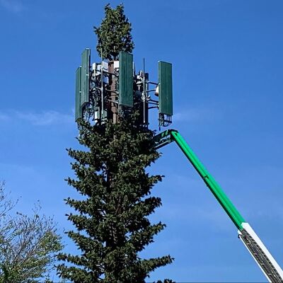 Bionic Tree Tower 人工樹塔 構造信頼性のための様々な温度における衝撃強度 KV 27ジュール