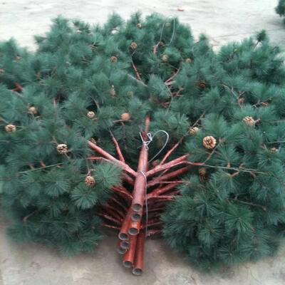 Bionic Tree Tower 人工樹塔 構造信頼性のための様々な温度における衝撃強度 KV 27ジュール