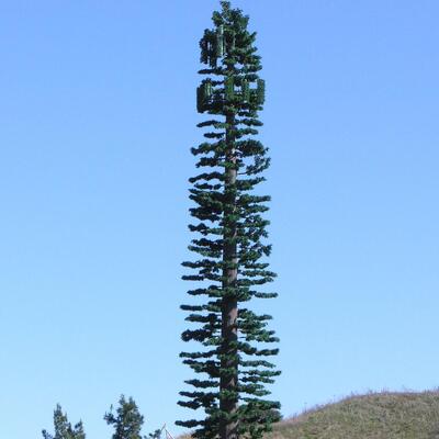 Bionic Tree Tower artificial with steel grades Q235B Q235C Q235D and Q355B Q355C Q355D for robust construction