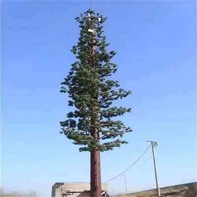 15 25 32Meter都市公園5G信号カバレッジのための注文の生物の松の木タワー