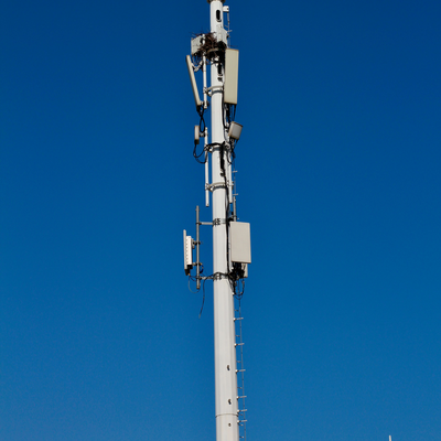 シティ セントラル パーク 5G 展開のための 36 メートルの色カスタマイズされたモノポール タワー