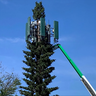 5Gワイヤレスネットワーク用の環境に優しい迷彩バイオニックパインツリータワー美的統合バイオニックヤシの木通信マスト工場