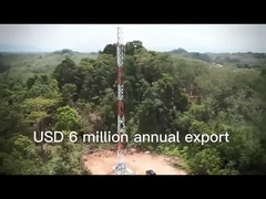 2.3脚の鉄の通信塔