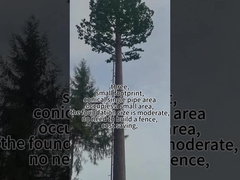 バイオニック・ツリー・タワー